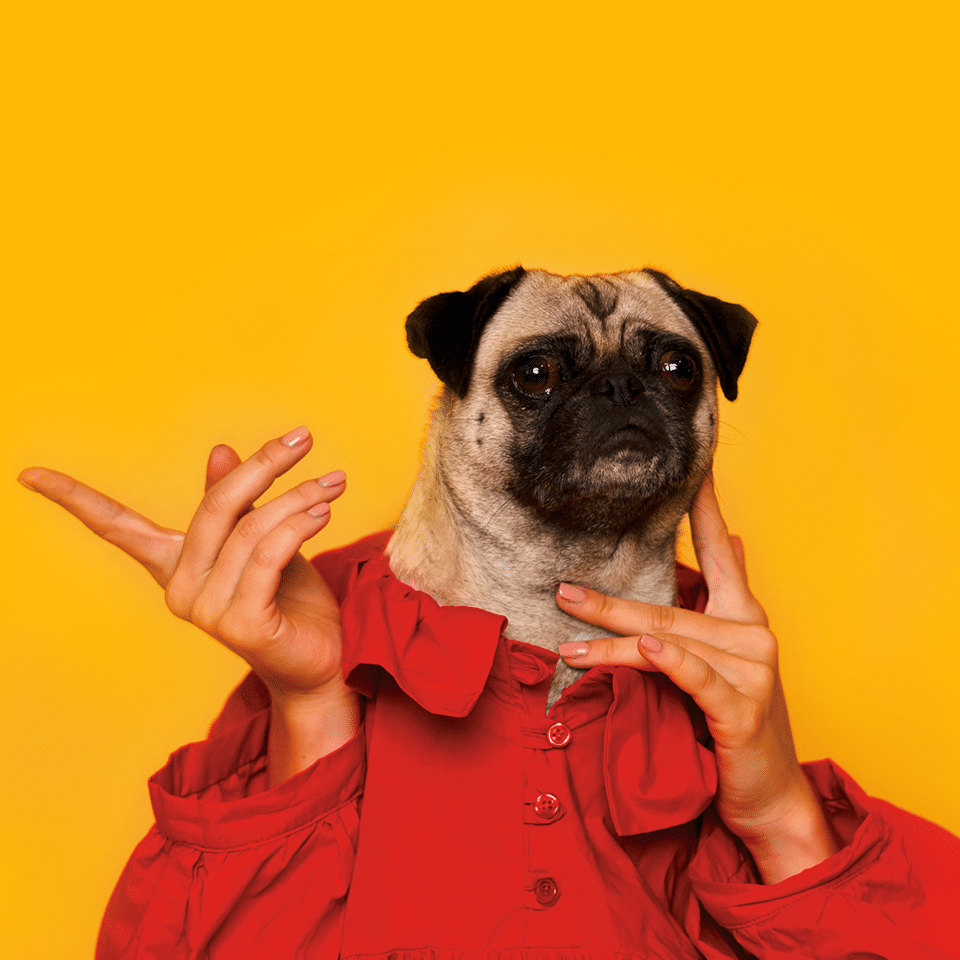 Tikki Questioning The Meaning Of Life